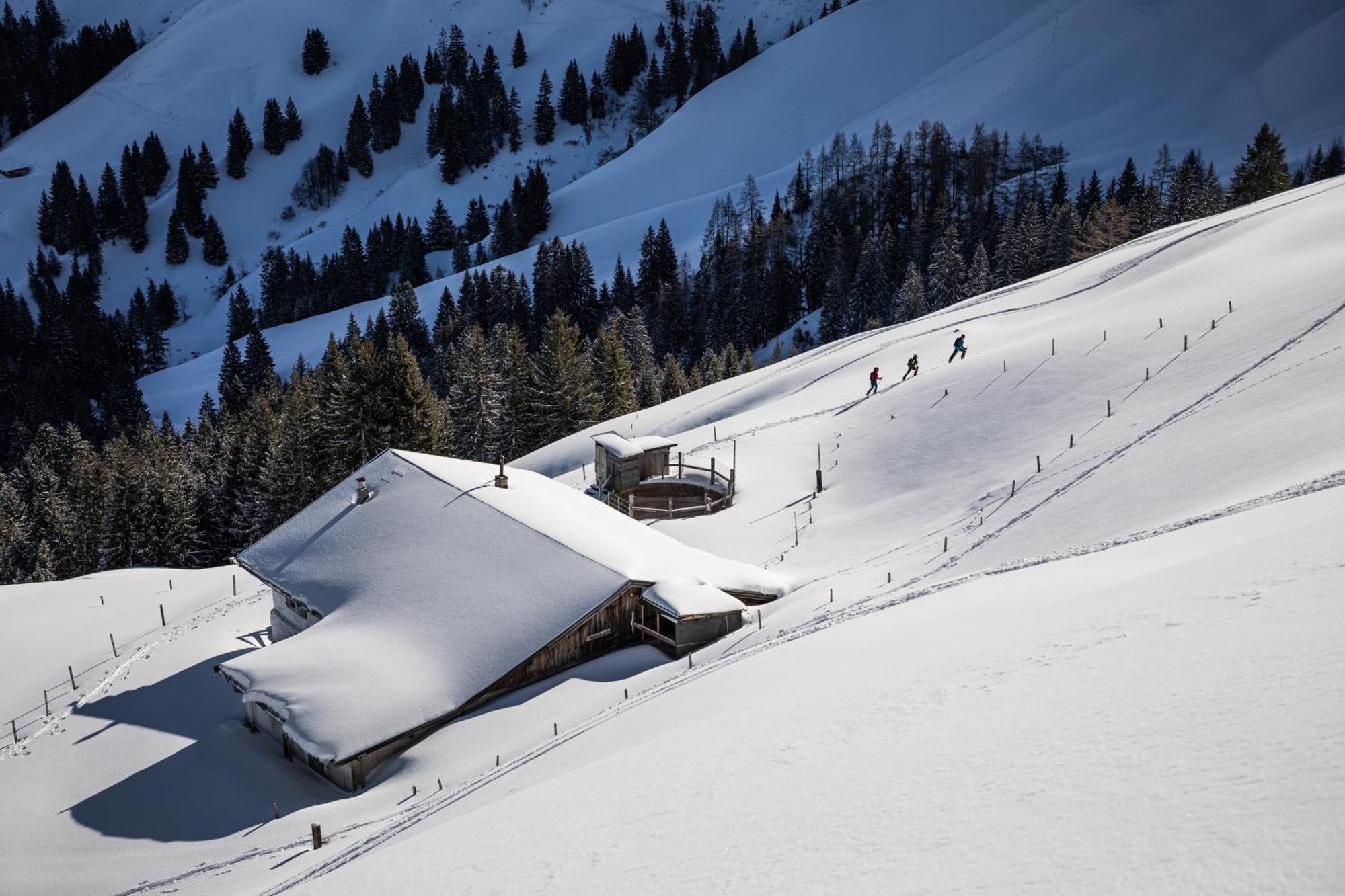 Kitzbuehel Suites By Alps Resorts Oberndorf in Tirol Eksteriør billede